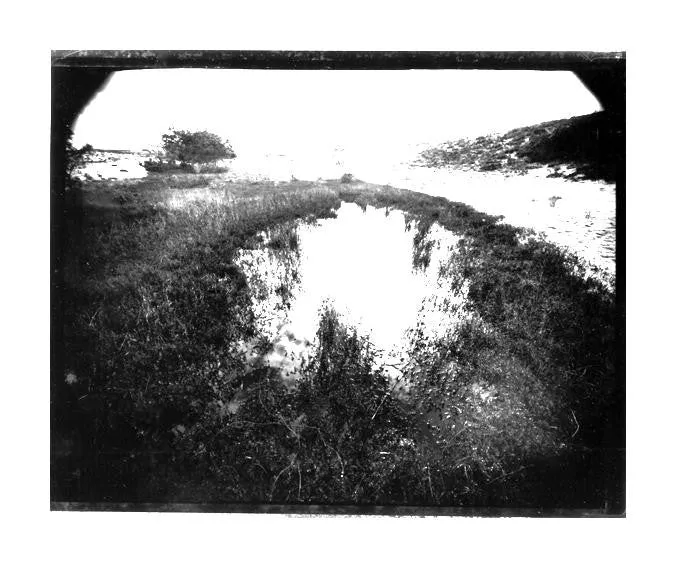 Cranberry Bog, Peaked Hill Dunes, Cape Cod National  Seashore