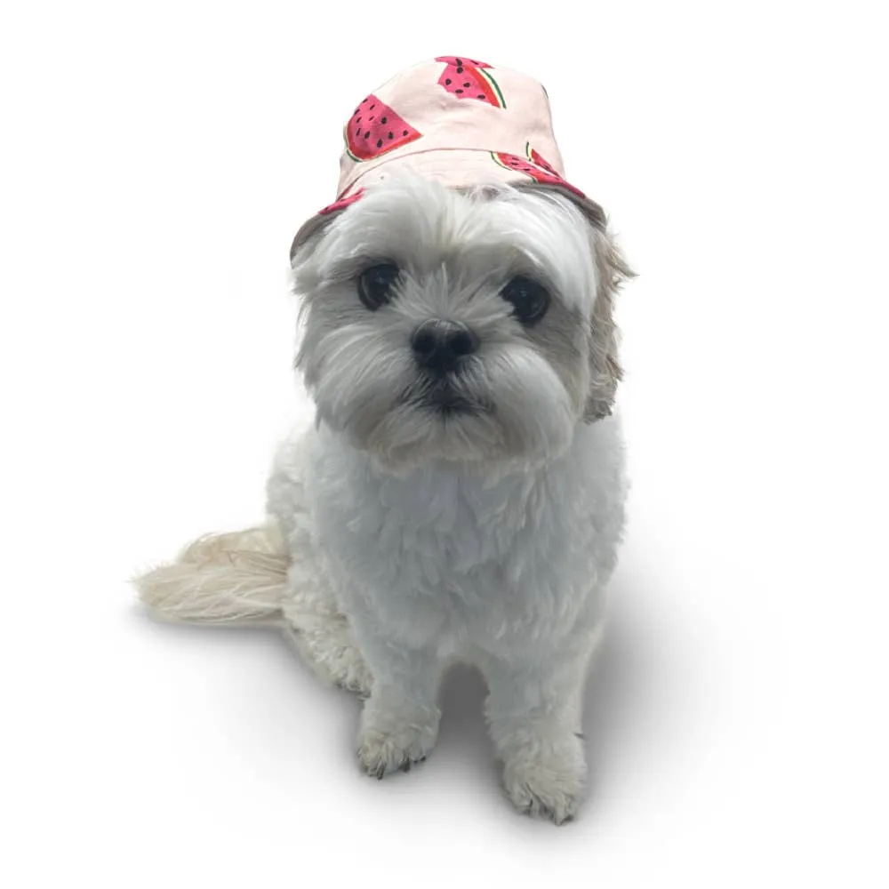 Dogo Pet Bucket Watermelon Dog Hat