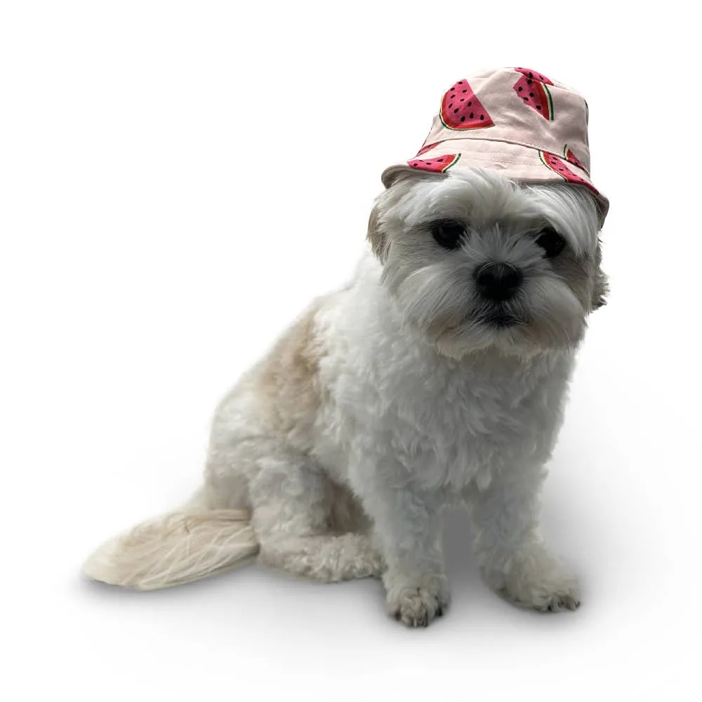 Dogo Pet Bucket Watermelon Dog Hat