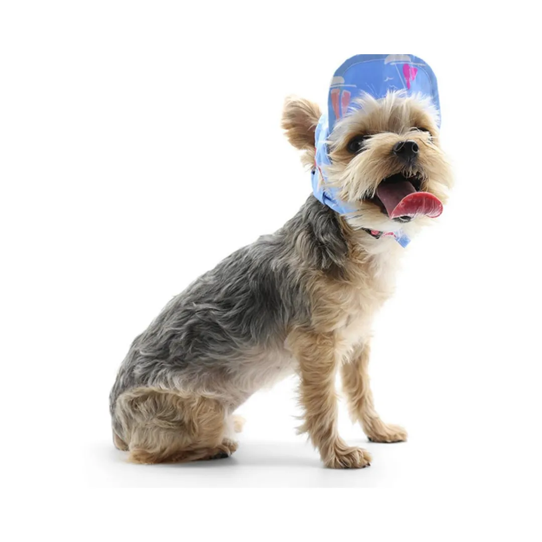 Dogo Pet Summer Beach Dog Hat